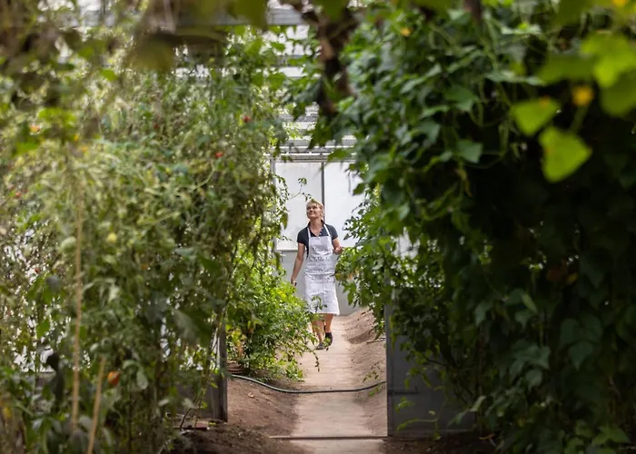 Grand By Interhome Appartement Granges-pres-Marnand