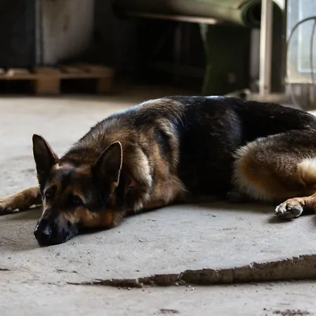 Grand By Interhome Granges-pres-Marnand