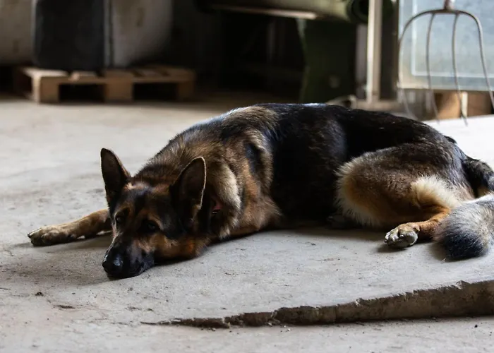 Grand By Interhome Granges-pres-Marnand