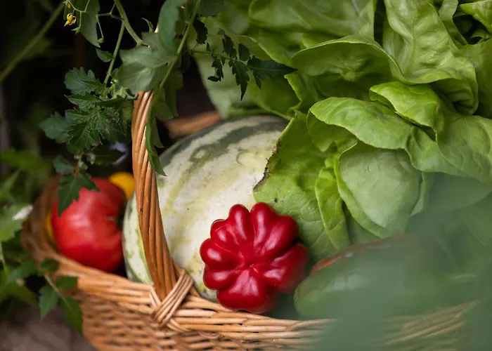 Grand By Interhome * Granges-pres-Marnand